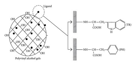The structural formulas of Immusorba PH.